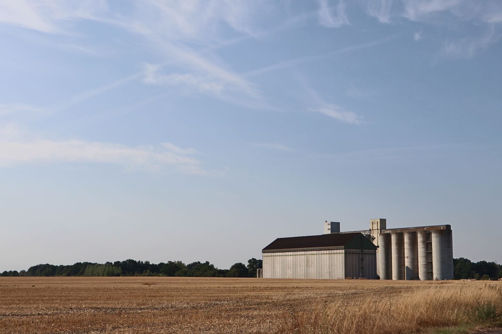 Campo agricola com silo e galpao rural